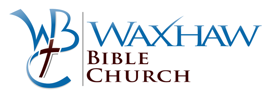 web-logo-large